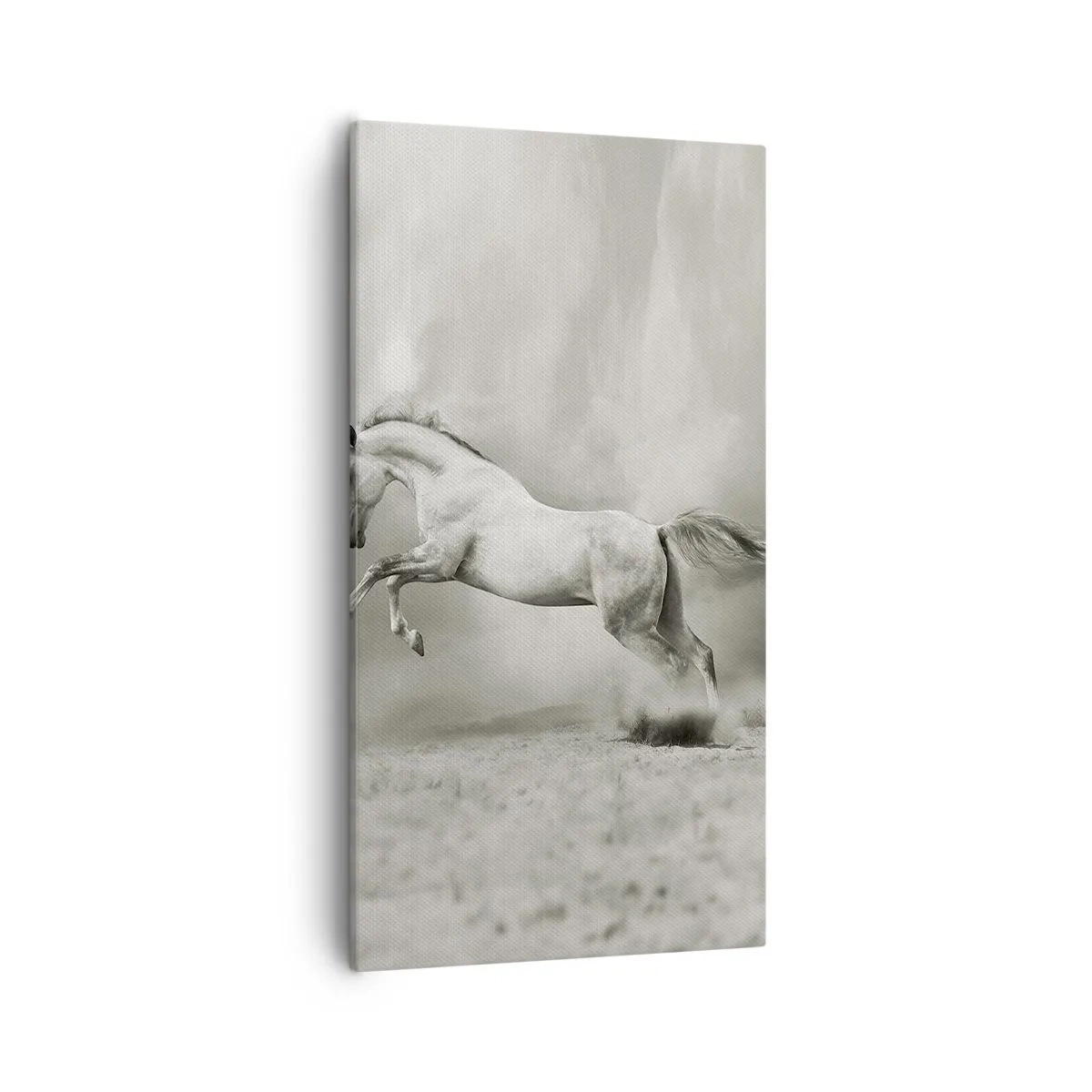 Quadro su tela - Stampe su Tela - Tra la veglia e il sonno, - 55x100 cm