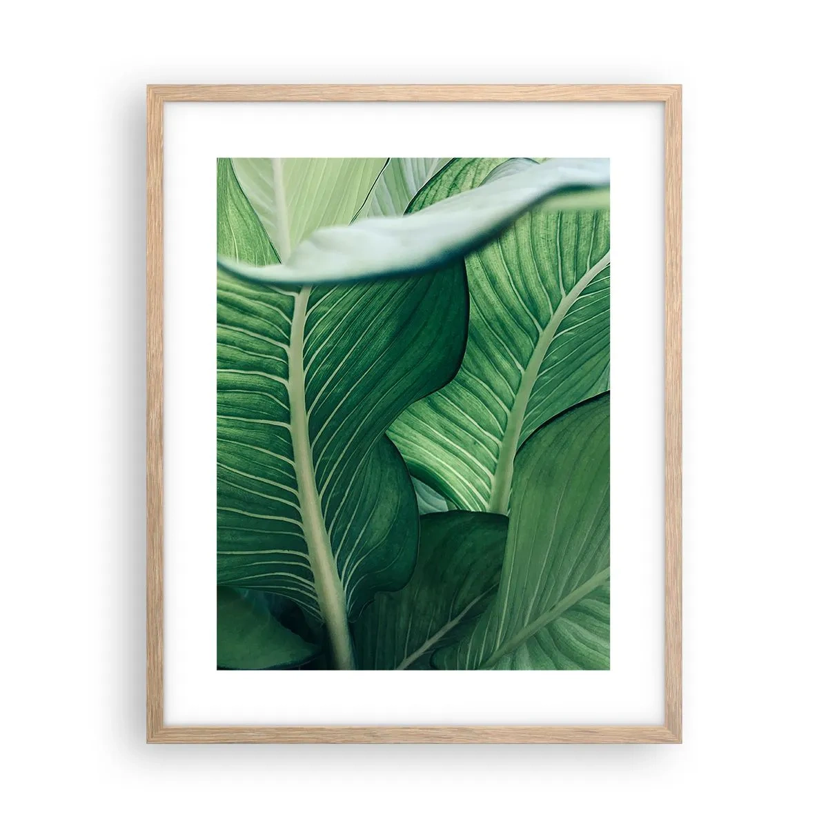 Poster in cornice rovere chiaro - Una vita intensamente verde - 40x50 cm