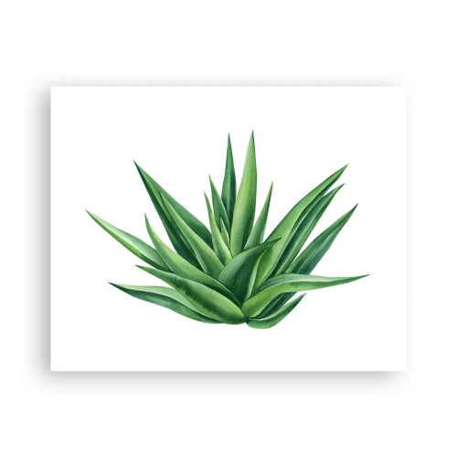 Poster - Verde - forza - vita - 50x40 cm