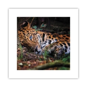 Poster - Fidati di me - 30x30 cm