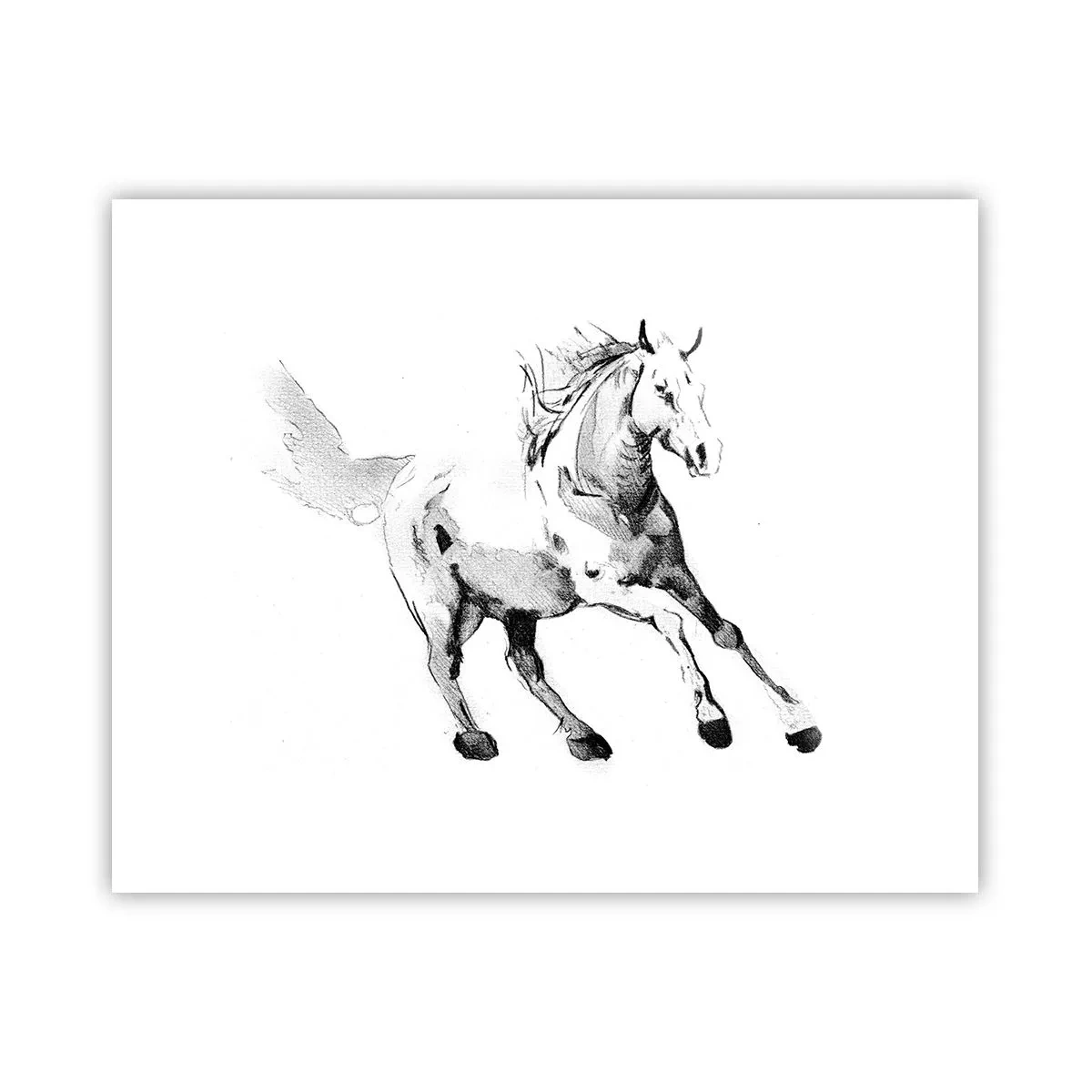 Poster - Anima indomabile - 50x40 cm
