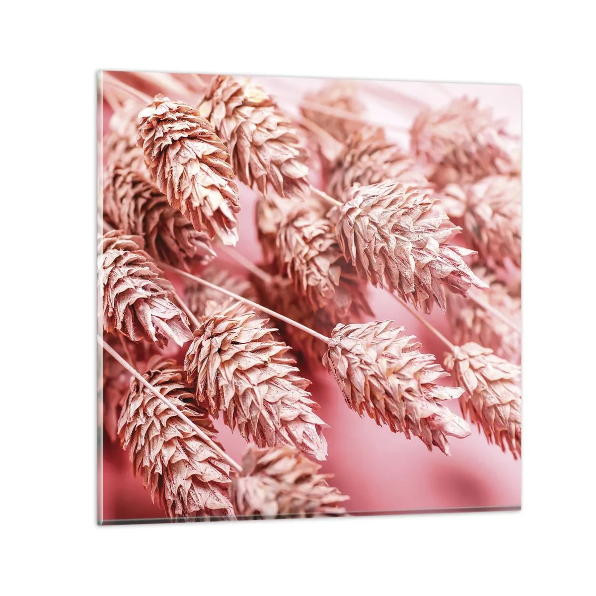 Quadro su vetro - Cascata di fiori in rosa - 40x40 cm