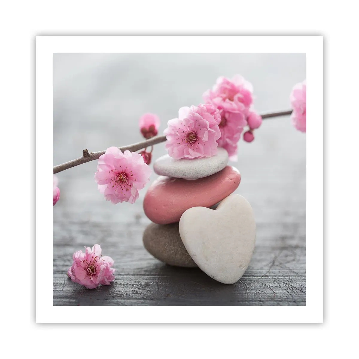 Poster - Serenità con fiori di ciliegio - 60x60 cm