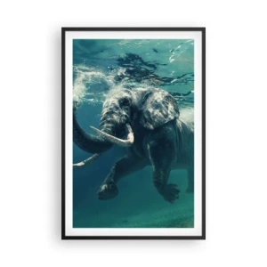 Poster in cornice nera - Tutti amano nuotare - 61x91 cm