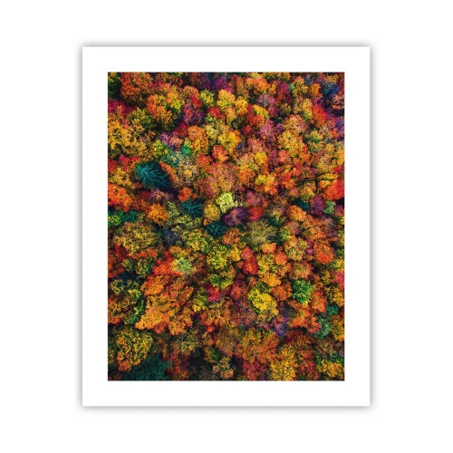 Poster - Il bouquet degli alberi d'autunno - 40x50 cm