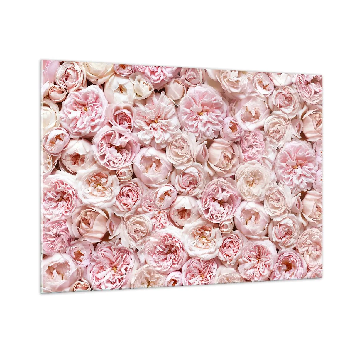 Quadro su vetro - Rose pastello in una fitta composizione floreale - 100x70cm - Coperto di rose - Decorazione murale moderna per soggiorno e camera da letto ARTTOR