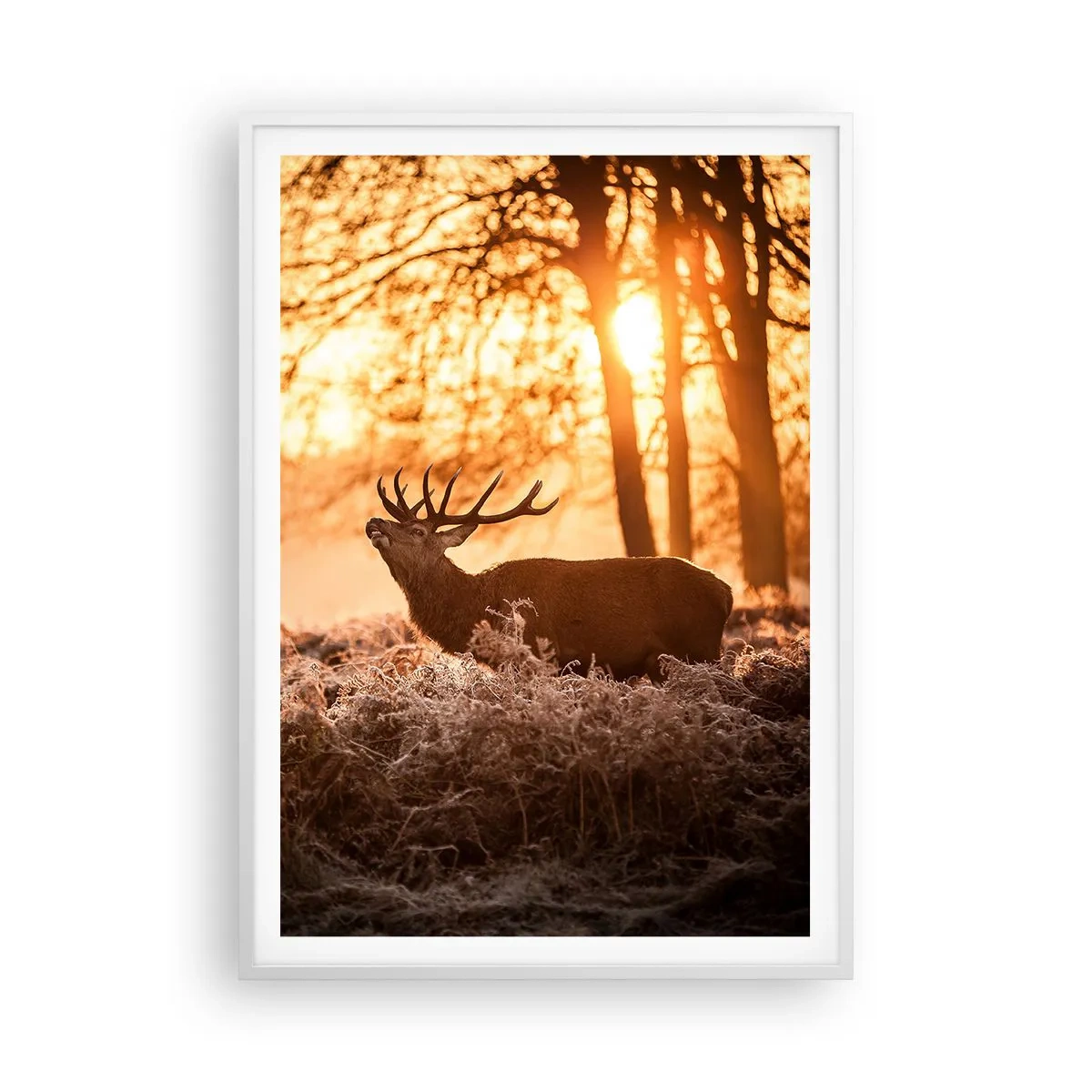 Poster in cornice bianca - Il sogno del cacciatore - 70x100 cm