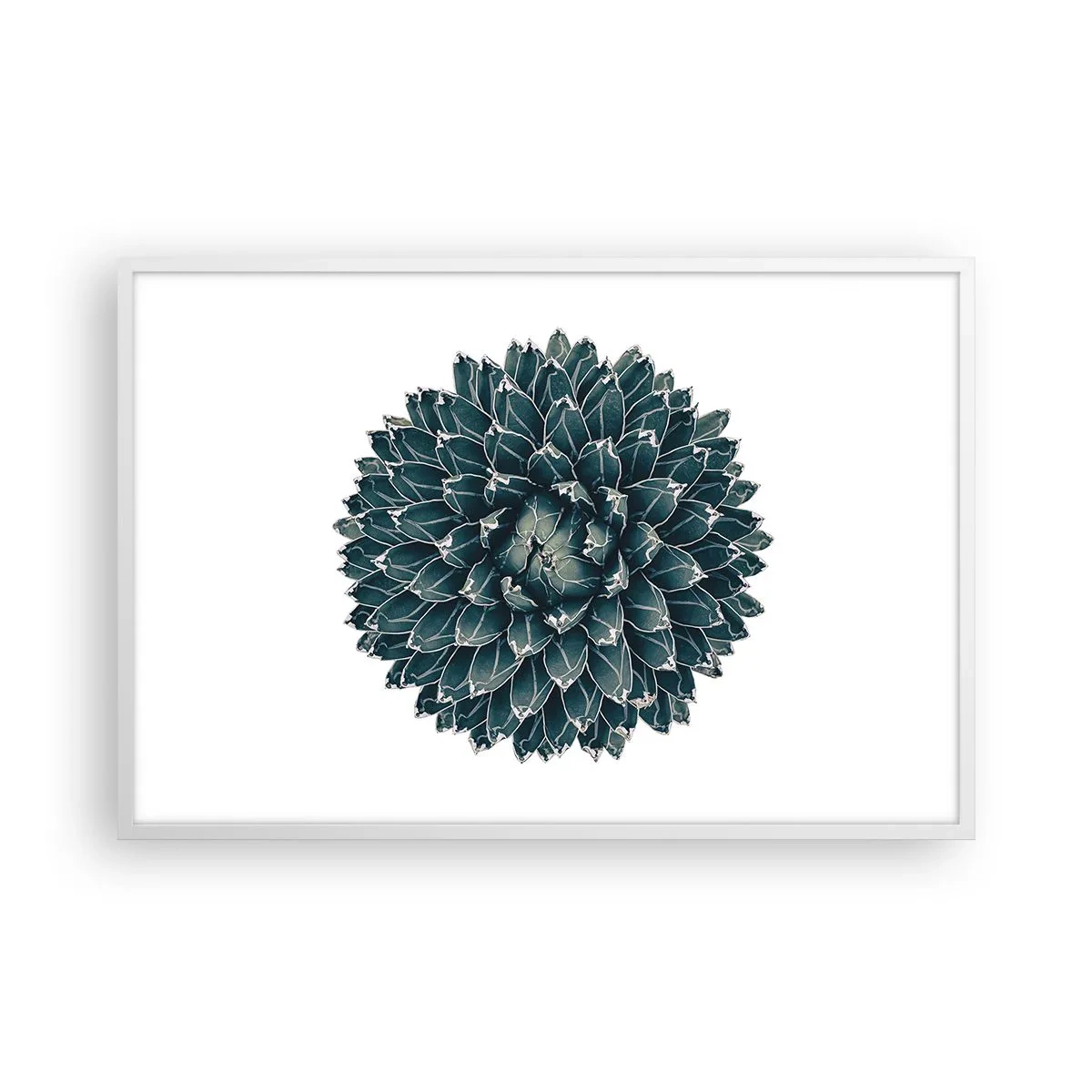 Poster in cornice bianca - La stella del deserto - 91x61 cm