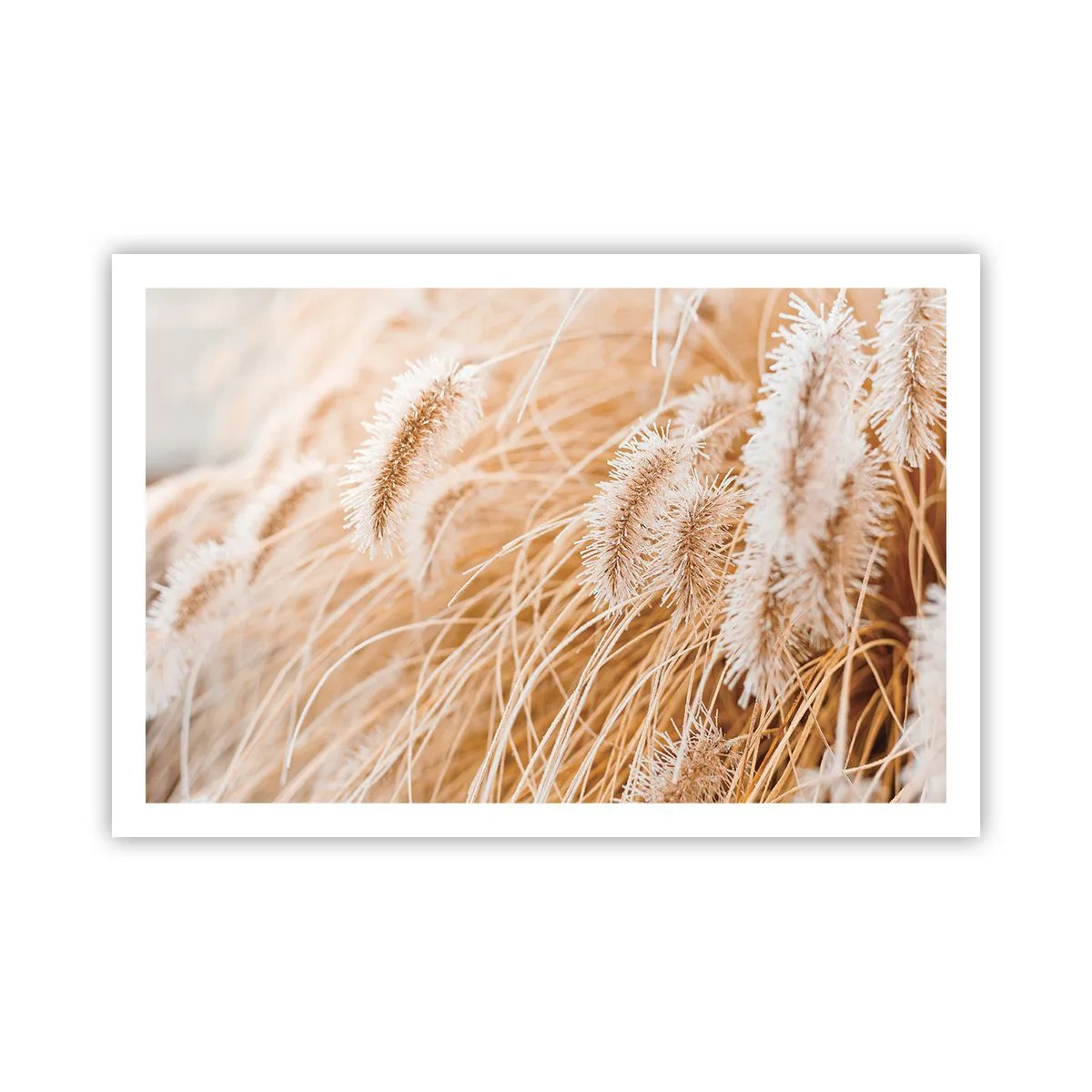Poster - Il fruscio dorato dell'erba - 91x61 cm