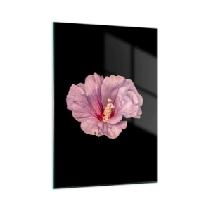 Quadro su vetro - Primo piano di un fiore di ibisco rosa su sfondo nero - 50x70cm - Dritto al cuore - Decorazione murale moderna per soggiorno e camera da letto ARTTOR