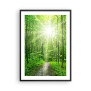 Poster in cornice nera - Un sentiero nel bosco illuminato dai raggi del sole - 50x70cm - Cattedrale verde - Decorazione murale moderna per soggiorno e camera da letto ARTTOR
