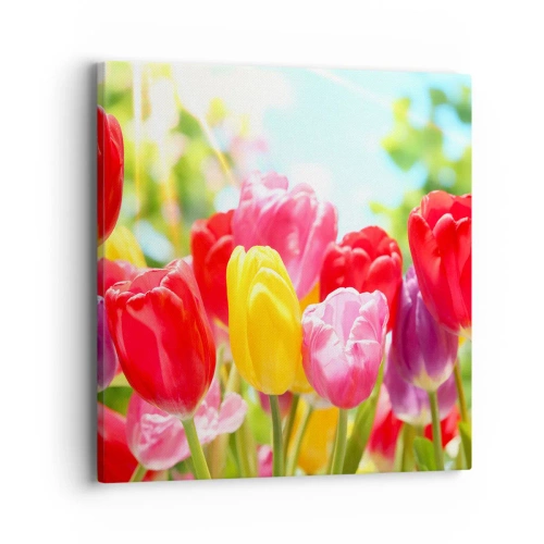 Quadro su tela - Stampe su Tela - Eccoci, i colori di maggio! - 40x40 cm