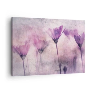 Quadro su tela - Stampe su Tela - Delicati fiori nelle tonalità del viola su uno sfondo chiaro - 70x50cm - Il sogno dei fiori - Decorazione murale moderna per soggiorno e camera da letto ARTTOR