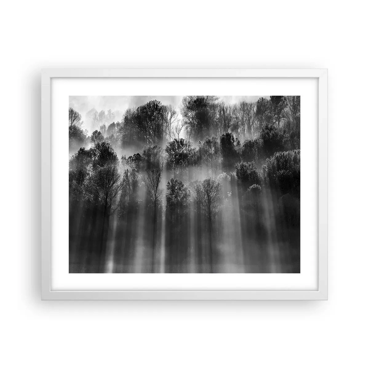 Poster in cornice bianca - Nei getti di luce - 50x40 cm