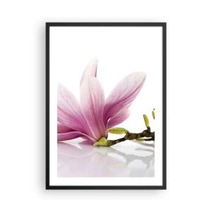 Poster in cornice nera - Fiore di magnolia rosa su un ramo con sfondo bianco - 50x70cm - Delicati come un soffio di primavera - Decorazione murale moderna per soggiorno e camera da letto ARTTOR