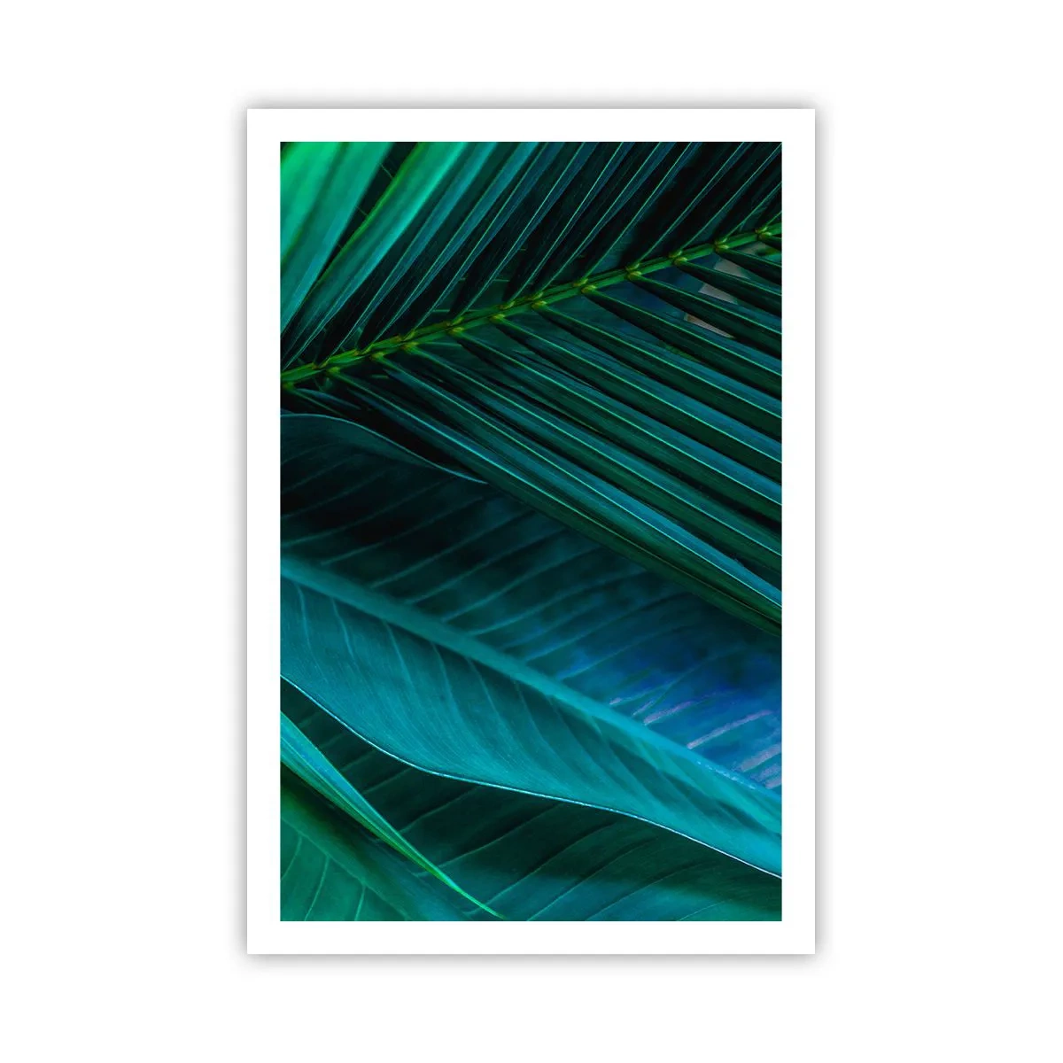 Poster - Anatomia del verde - 61x91 cm