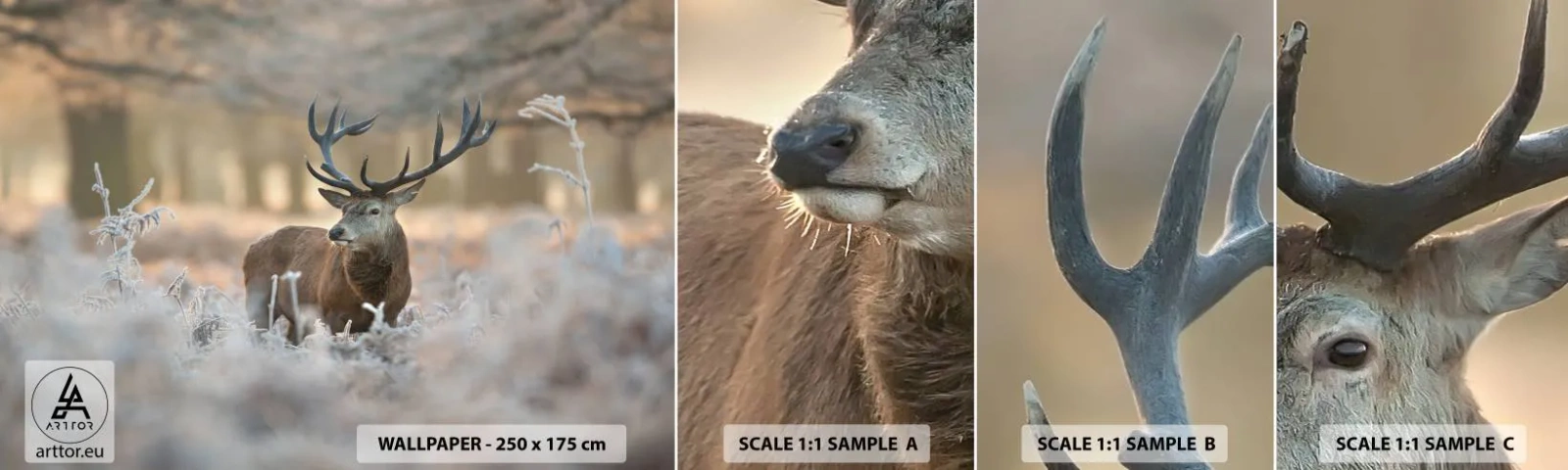 Campione di Fotomurale Adesivo Deluxe Sticker - Fresco mattino - Paesaggio, Cervo, Animali - 100x30 cm