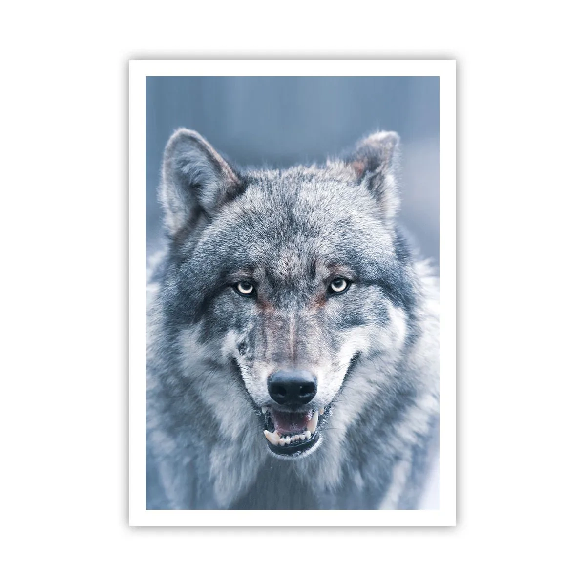 Poster - Accetti la sfida? - 70x100 cm