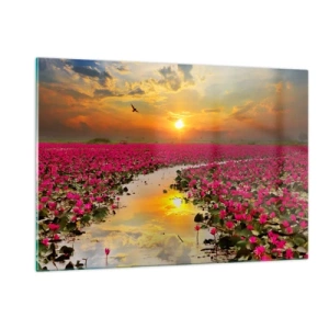 Quadro su vetro - Ninfee rosa su un lago al tramonto - 120x80cm - La vita segreta del lago - Decorazione murale moderna per soggiorno e camera da letto ARTTOR