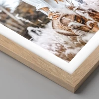 Rovere chiaro