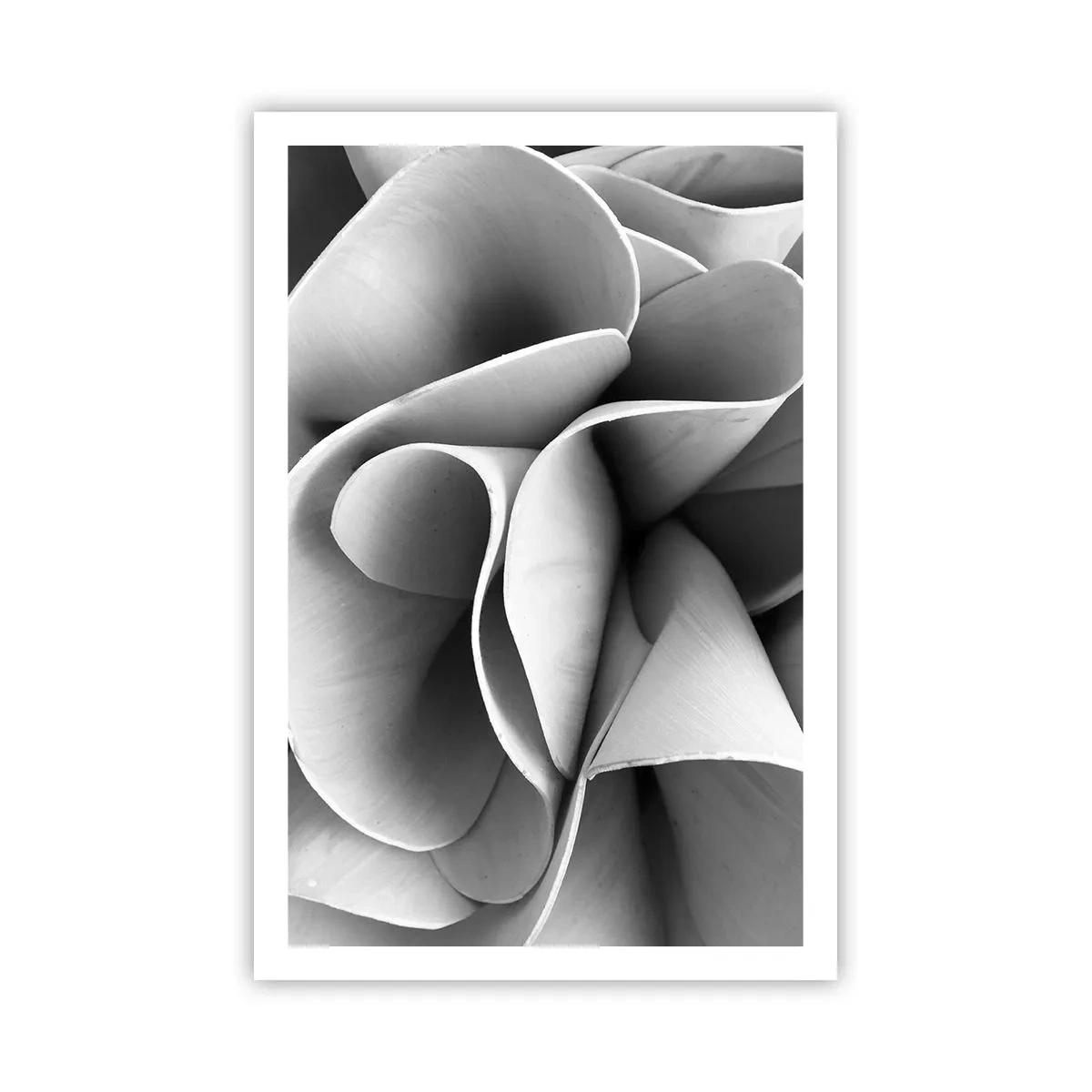 Poster - Avviene nello spazio - 61x91 cm