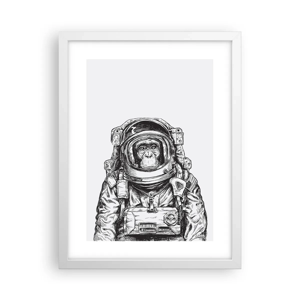 Poster in cornice bianca - Evoluzione alternativa - 30x40 cm