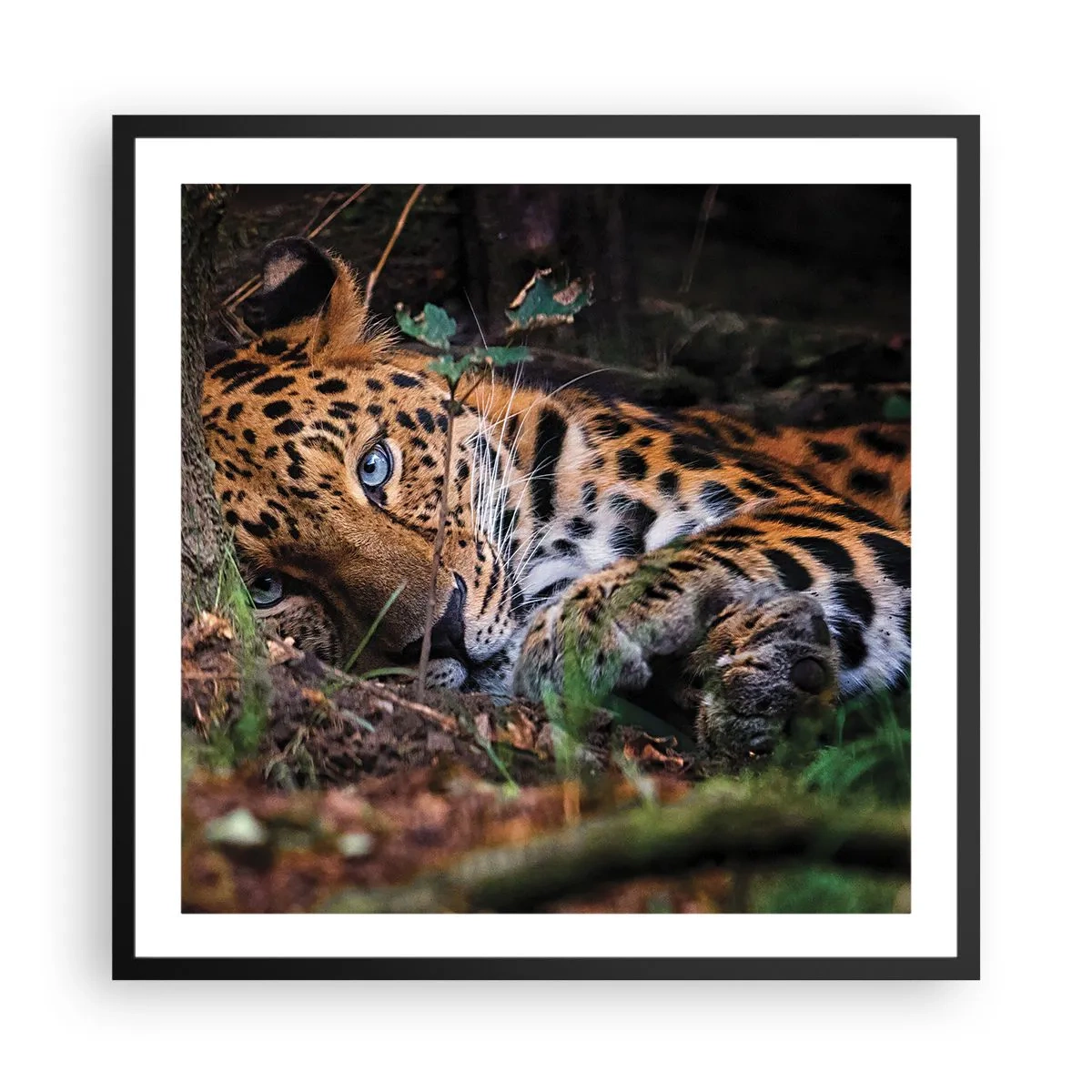 Poster in cornice nera - Fidati di me - 60x60 cm