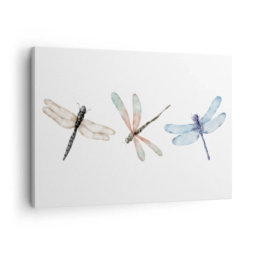 Quadro su tela - Stampe su Tela - Tre libellule dai delicati colori pastello - 70x50cm - Libellule senza peso - Decorazione murale moderna per soggiorno e camera da letto ARTTOR