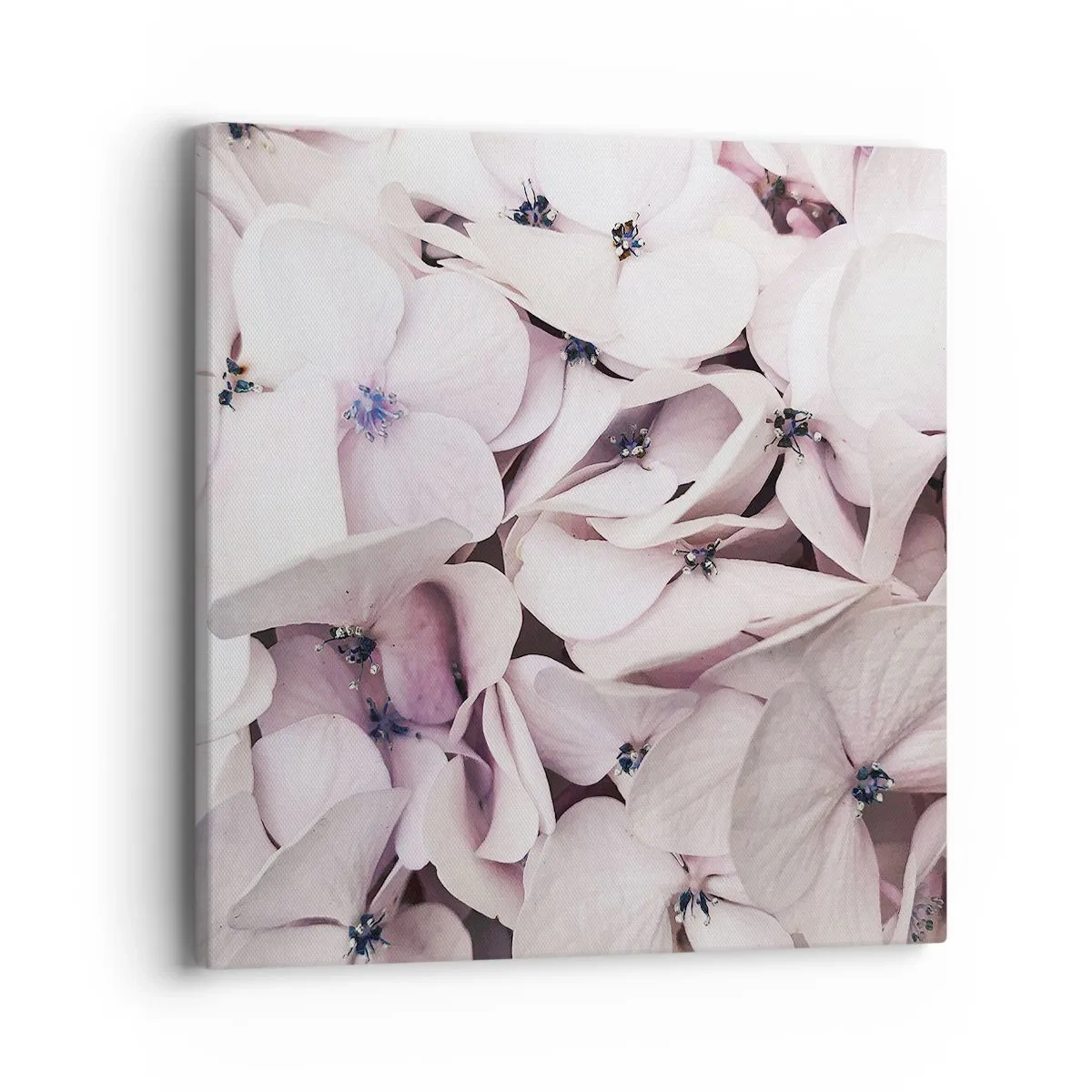 Quadro su tela - Stampe su Tela - Un'alluvione di fiori - 40x40 cm