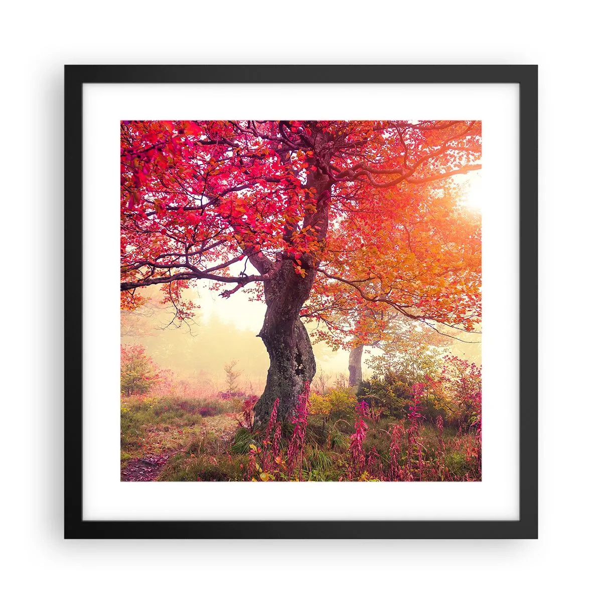 Poster in cornice nera - L'esplosione della fioritura - 40x40 cm