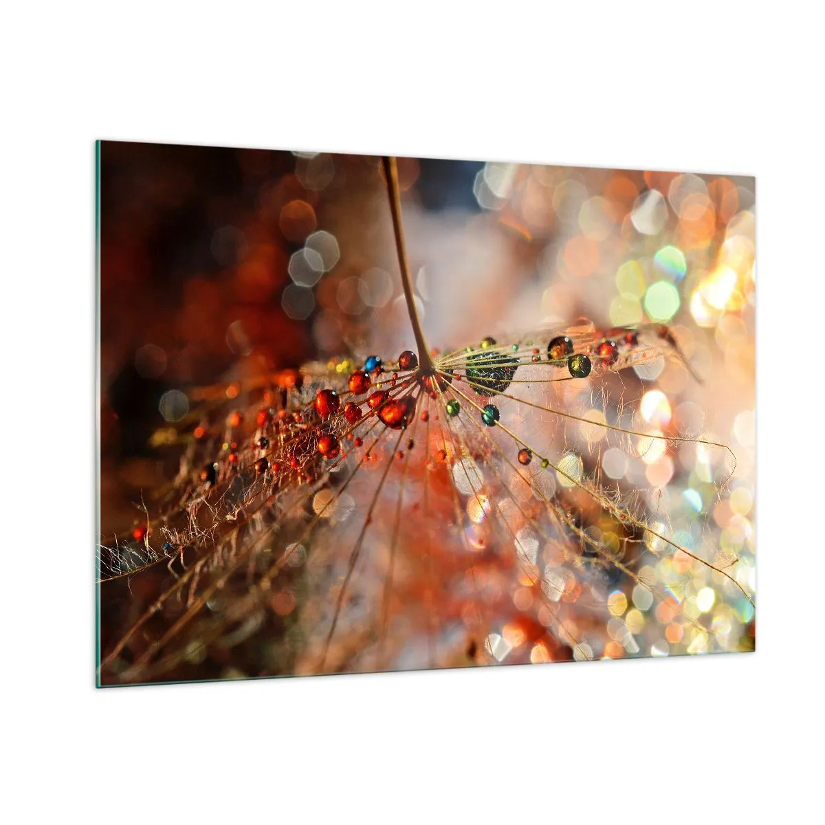 Quadro su vetro - Gocce d'acqua su una delicata ragnatela in luce bokeh - 100x70cm - Posate sulla ragnatela - Decorazione murale moderna per soggiorno e camera da letto ARTTOR