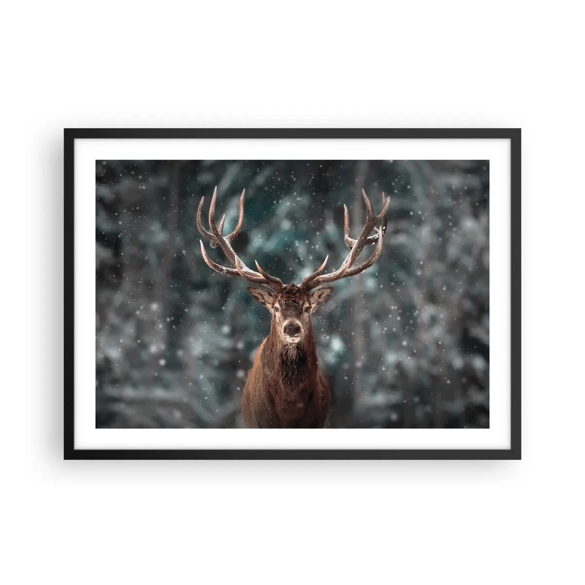 Poster in cornice nera - Cervi in una foresta invernale con neve che cade - 70x50cm - Il re del bosco incoronato - Decorazione murale moderna per soggiorno e camera da letto ARTTOR