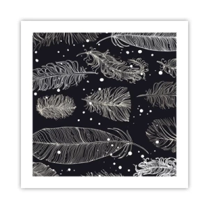 Poster - Pizzo piumato - 50x50 cm