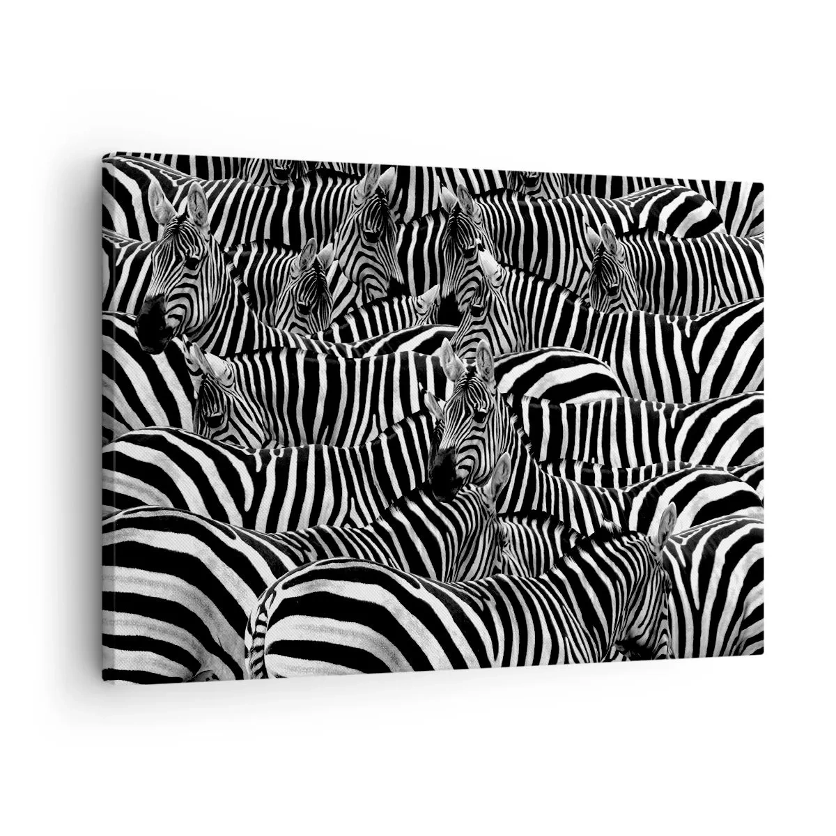 Quadro su tela - Stampe su Tela - Un gruppo di zebre con strisce bianche e nere che creano un motivo di simmetria. - 70x50cm - Ritratto collettivo a strisce - Decorazione murale moderna per soggiorno e camera da letto ARTTOR