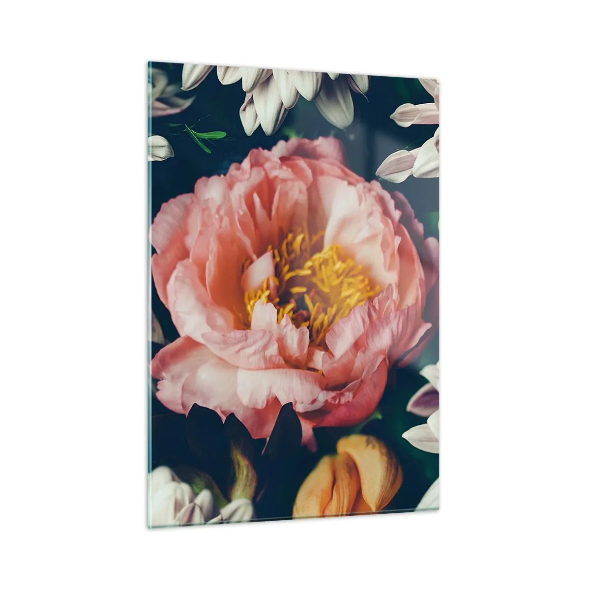 Quadro su vetro - Primo piano di peonie e crisantemi in tonalità pastello - 50x70cm - Con fasto barocco - Decorazione murale moderna per soggiorno e camera da letto ARTTOR