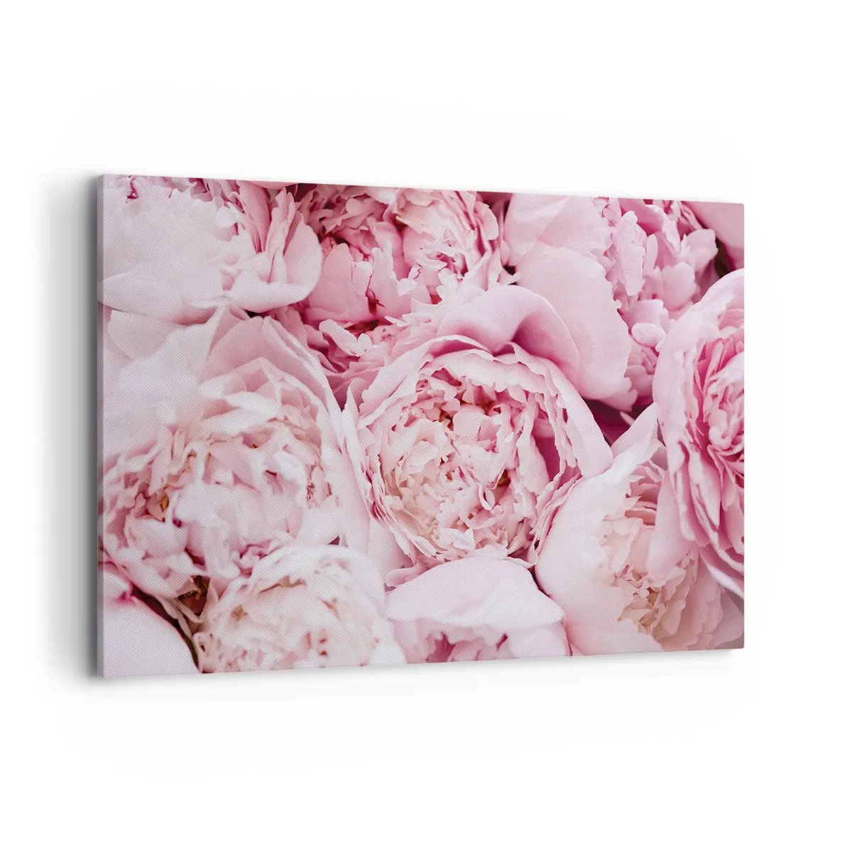 Quadro su tela - Stampe su Tela - Un primo piano di un bouquet di peonie rosa - 100x70cm - Morbide e profumate - Decorazione murale moderna per soggiorno e camera da letto ARTTOR