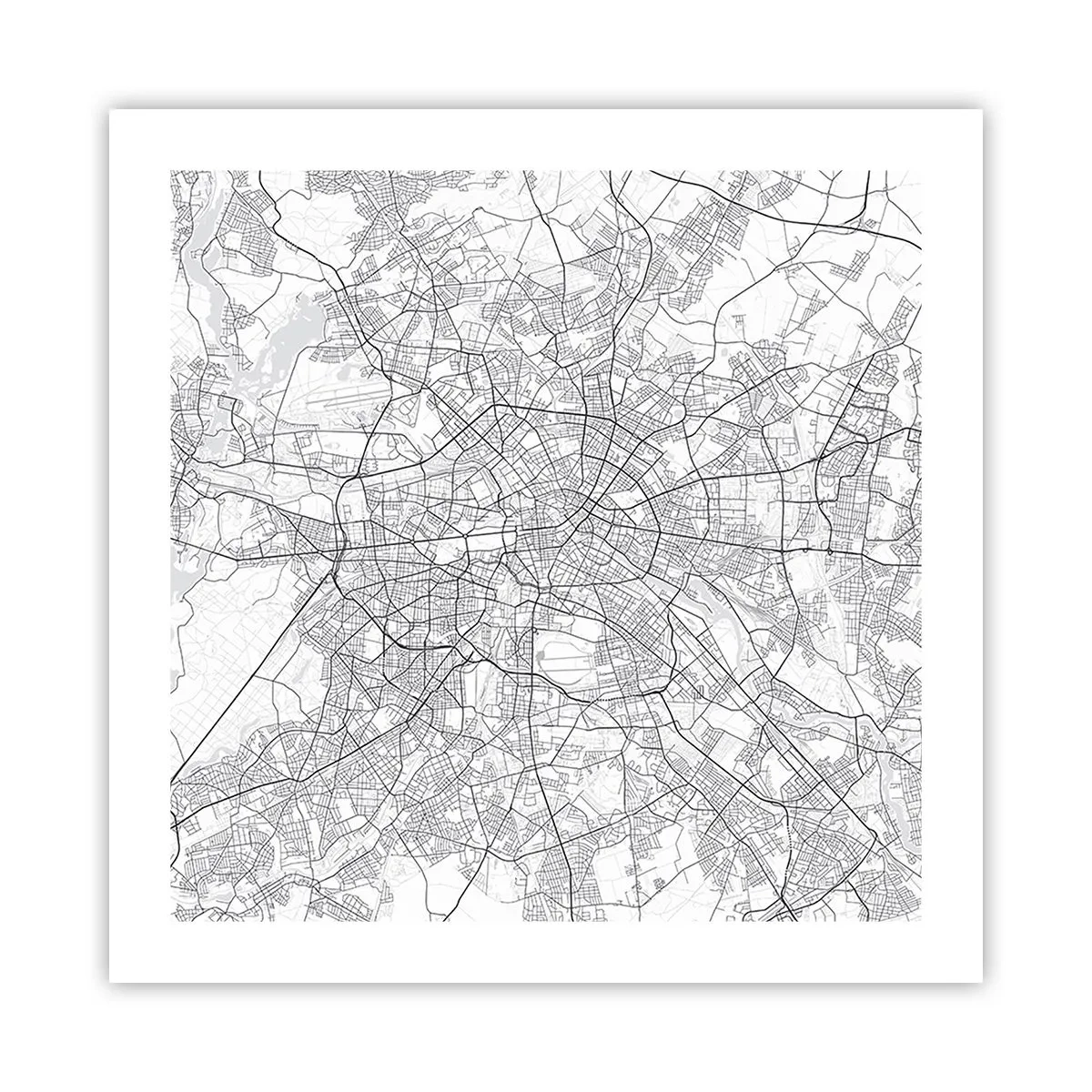 Poster - Il fiore di Berlino - 50x50 cm