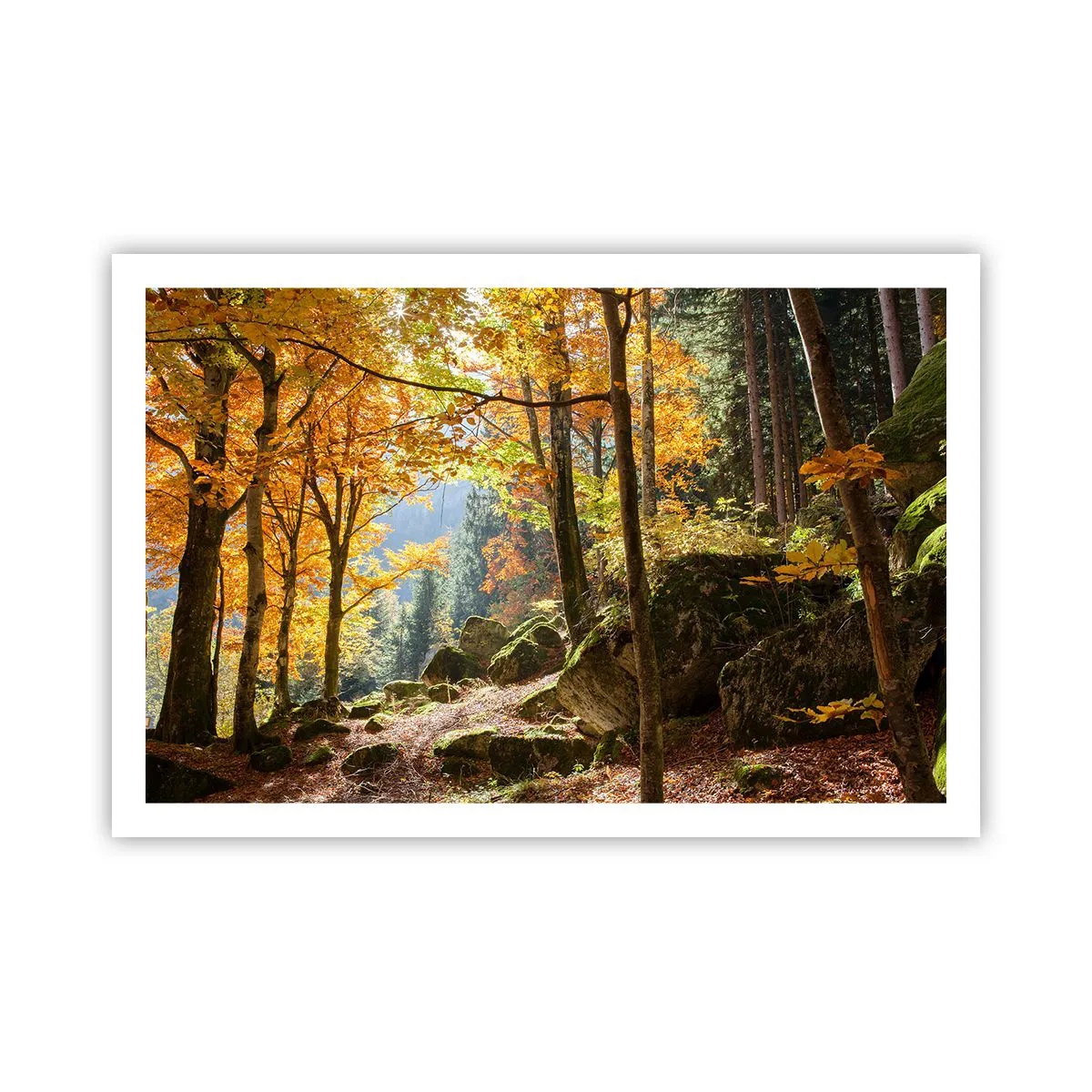 Poster - Il tempo del riposo - 91x61 cm