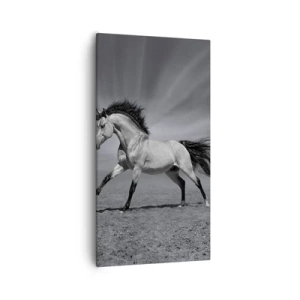 Quadro su tela - Stampe su Tela - Nato per affascinare - 55x100 cm