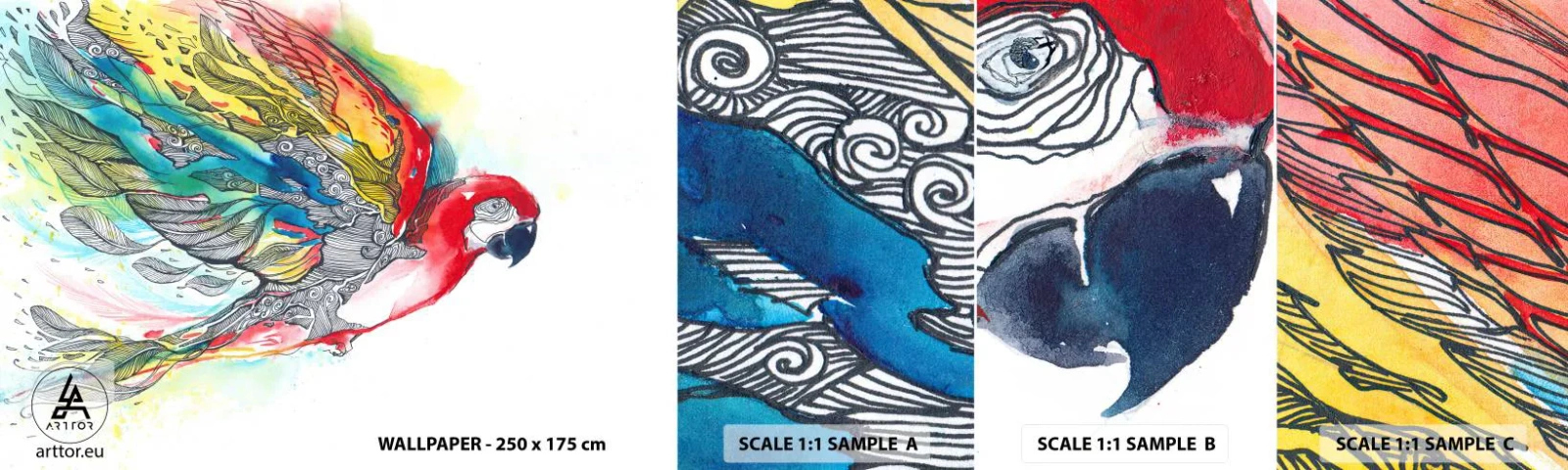 Campione Di Fotomurale Standard Eco - Vivi a colori - Uccello, Pappagallo, Piume colorate - 100x30 cm