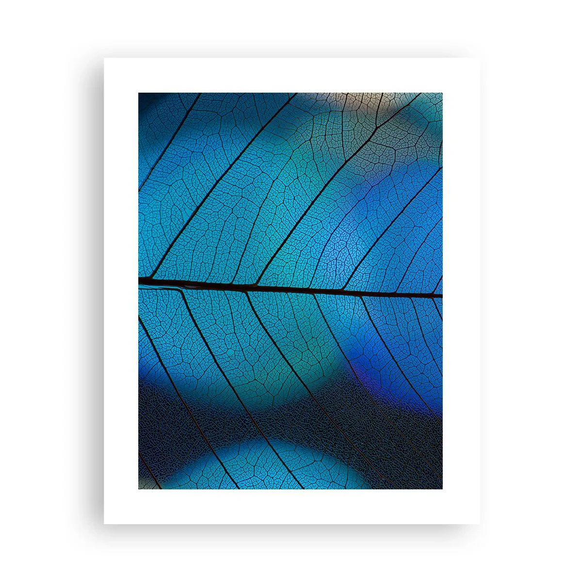 Poster - Struttura intricata - 40x50 cm