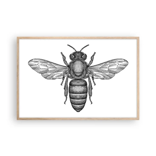 Poster in cornice rovere chiaro - Ritratto d'insetto - 91x61 cm