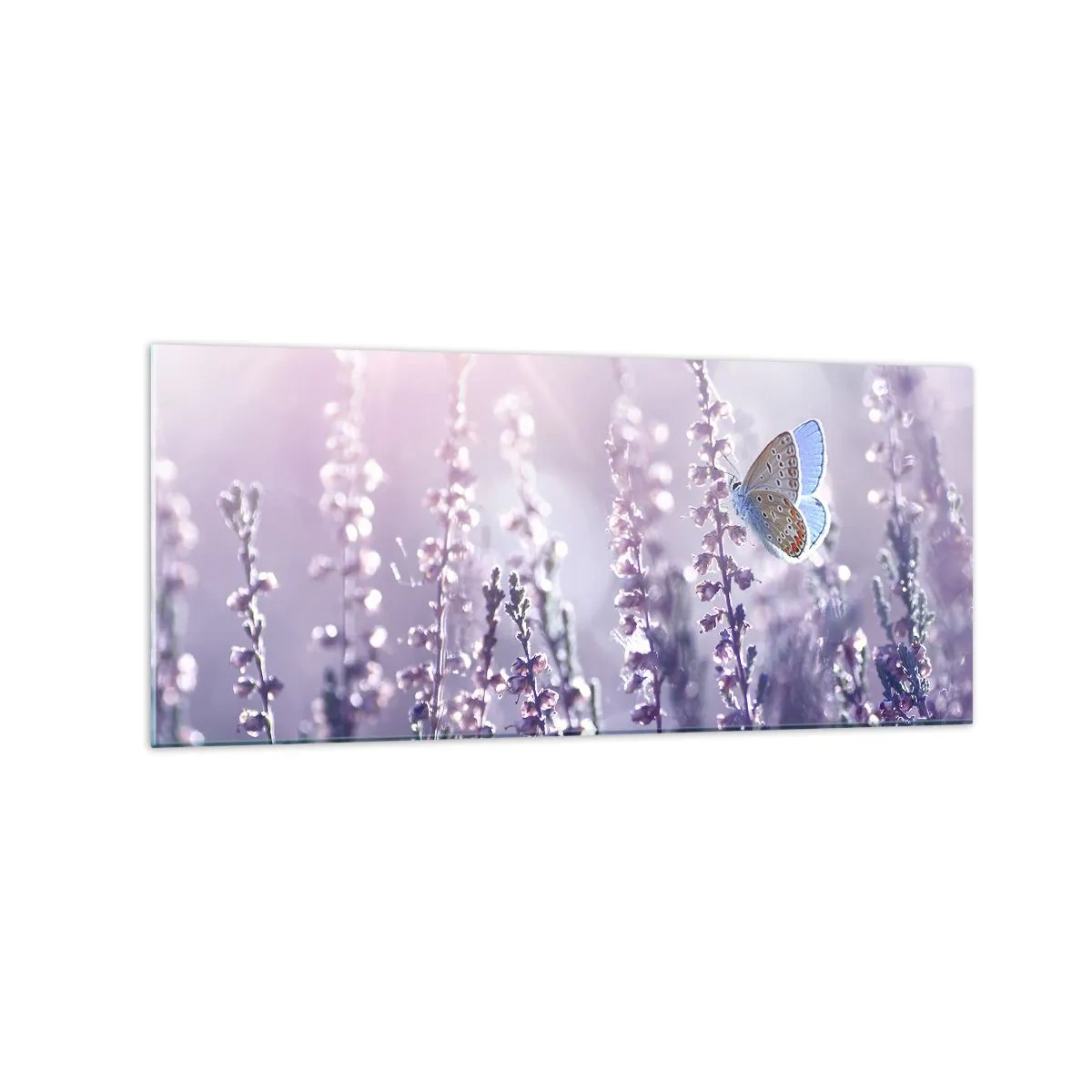 Quadro su vetro - Una farfalla sulla lavanda in fiore nella luce del mattino - 120x50cm - Il bacio della farfalla - Decorazione murale moderna per soggiorno e camera da letto ARTTOR