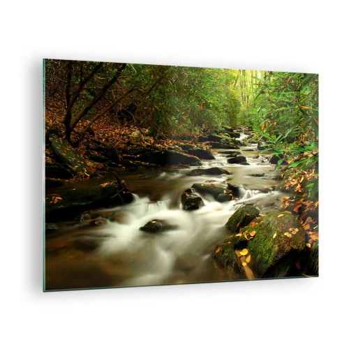 Quadro su vetro - Un ruscello nella foresta circondato da pietre e foglie - 70x50cm - Come argento liquido - Decorazione murale moderna per soggiorno e camera da letto ARTTOR