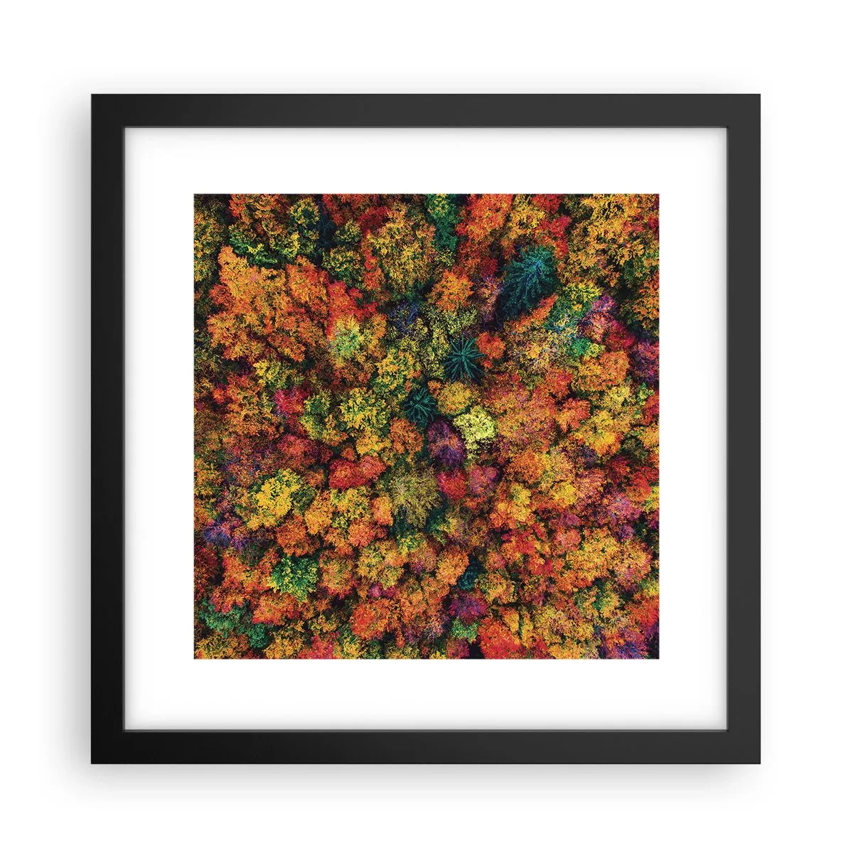 Poster in cornice nera - Il bouquet degli alberi d'autunno - 30x30 cm