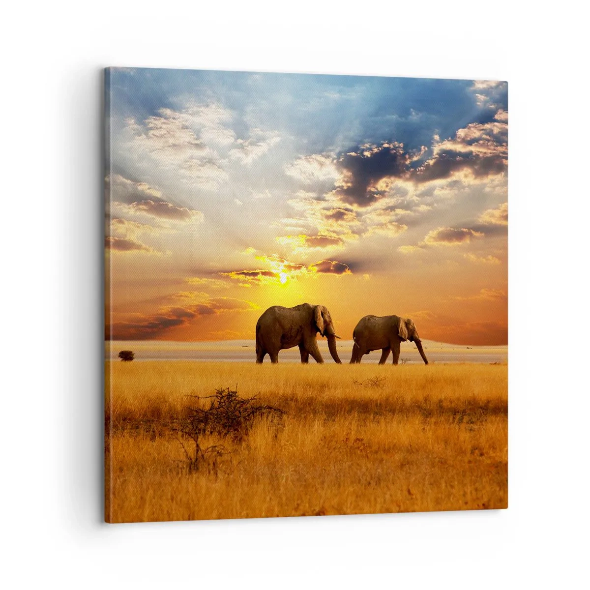 Quadro su tela - Stampe su Tela - Passeggiata familiare - 60x60 cm