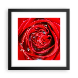 Poster in cornice nera - Nelle gocce della rugiada - 30x30 cm