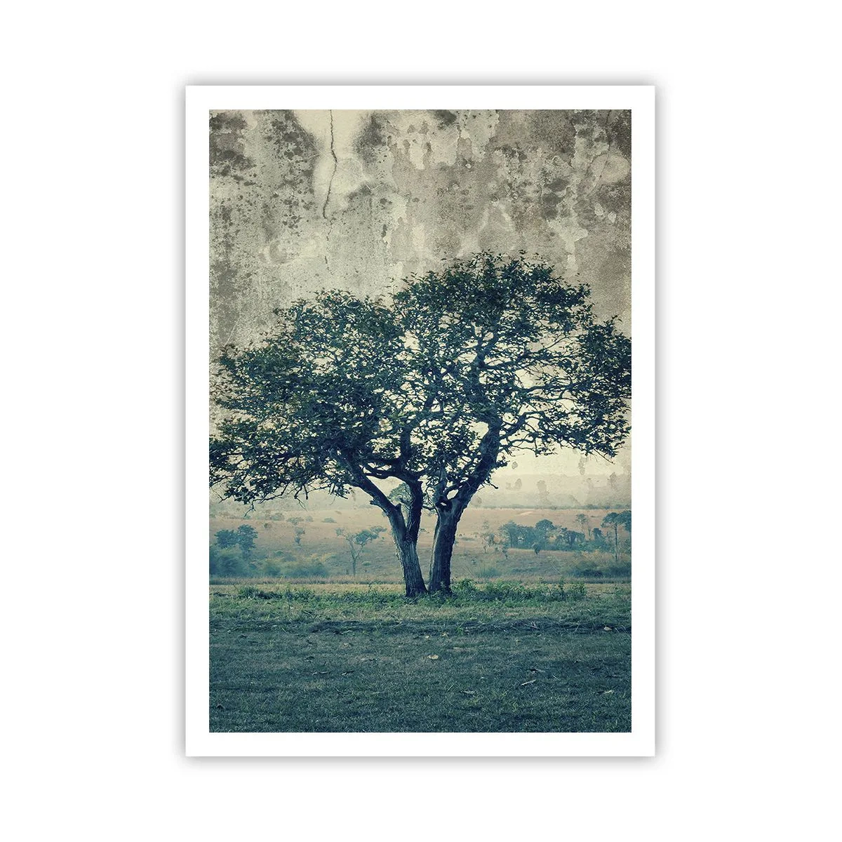 Poster - Un melo su un prato blu? - 70x100 cm