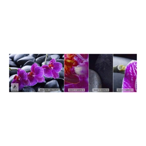 Campione di Fotomurale Premium Canvas - Le pietre brillano di ammirazione - Fiori, Pietre, Orchidea - 100x30 cm