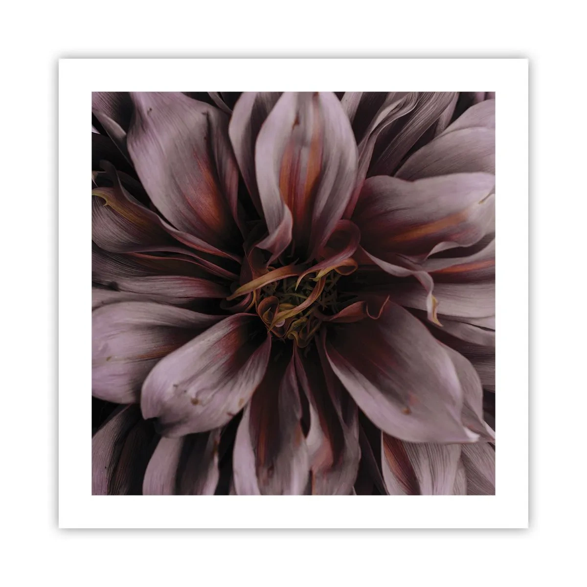 Poster - Cuore d'aprile - 50x50 cm